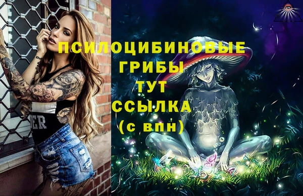 ПСИЛОЦИБИНОВЫЕ ГРИБЫ Алексеевка