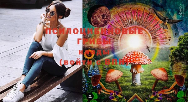 ПСИЛОЦИБИНОВЫЕ ГРИБЫ Алексеевка