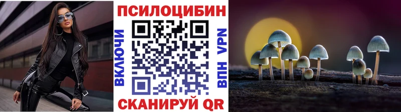 Галлюциногенные грибы GOLDEN TEACHER  наркотики  Суджа 